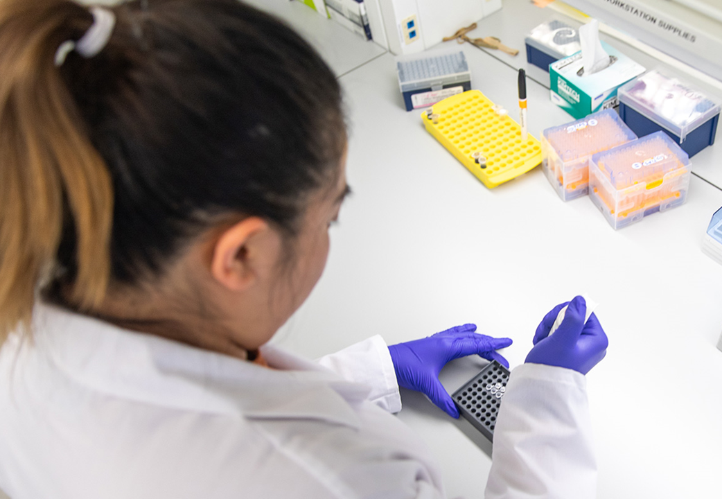 student working in a lab